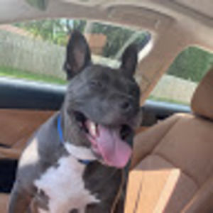 Meet your Posher, Tom